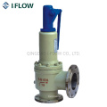 Overpressure Protection Device DIN Safety Valve Wcb